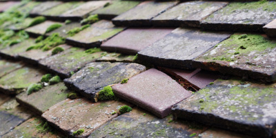 Newick roof repair costs